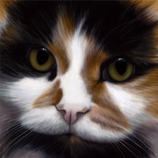 Larger Than Life - Peggerty - Box Canvas Larger Than Life - Peggerty - Box Canvas