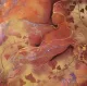 Fantasia II - Print only