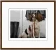 Ever Ready - Dark Wood Framed
