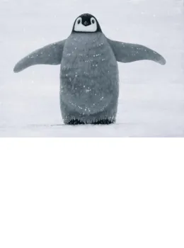 Cold Feet - Board Only
