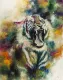Bellicose (Royal Siberian Tiger) - Mounted
