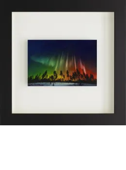 Nature Awakens - Framed