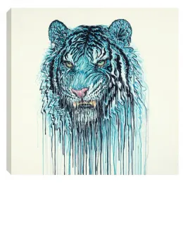 Maltese Blue - Box Canvas