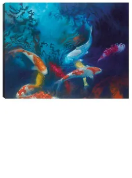 Koi Colours - Box Canvas