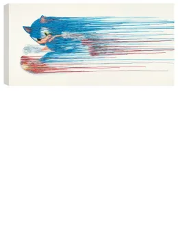 Speed Of Sound - Canvas - Box Canvas