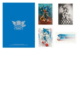 Craig Davison - Sonic The Hedgehog Sega Portfolio - Print only