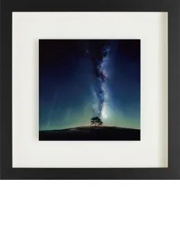 Jewel Of The Night - Framed
