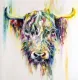 Highland Cow - Large - Framed
