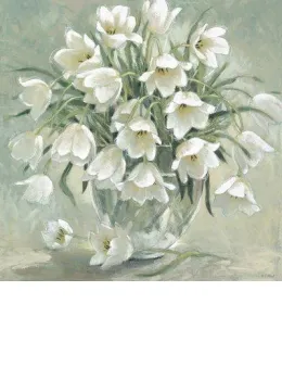 Tulip Serenade - Box Canvas
