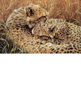 Love Bites - Mounted