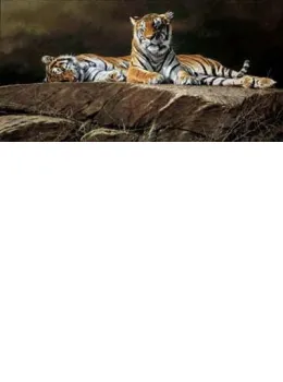 Just Warming Up Nicely - Tigers - Print only