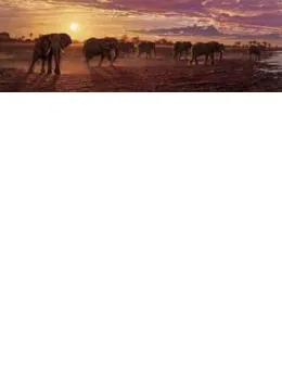 The Sundowners - Elephants - Print only