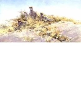 The Cheetahs Of Namibia - Print only
