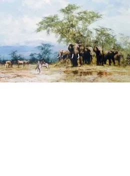 Amboseli - Print only
