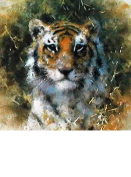 Bengal Tiger - Cameo Collection - Mounted