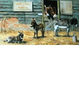 Happy Home For Donkeys - Print only