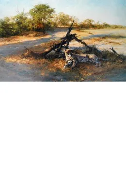 Savuti Sands - Print only