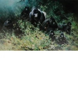 The Mountain Gorillas Rwanda - Gorilla - Print only