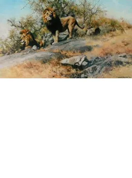 Two Gentlemen Of Savuti - Print only
