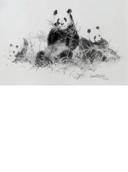 Panda (Pencil) - Mounted