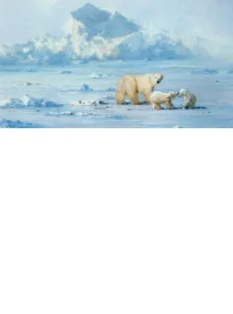 Polar Bear Country - Mounted