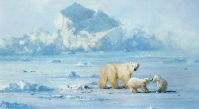 Polar Bear Country - Mounted