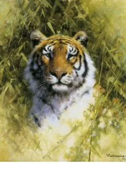 Portrait Of A Tiger - Print only