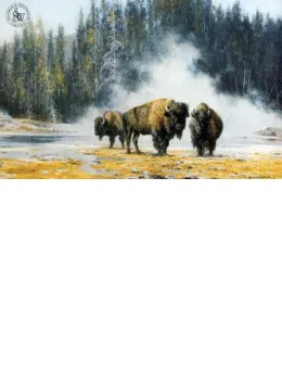 The Hot Springs Of Yellowstone - Print only