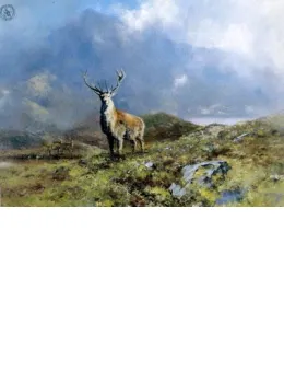The Prince Of Rannoch Moor - Print only