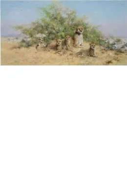 Cheetah Family - In The Serengeti - Print