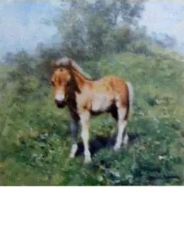 When I Grow Up I Want To Be A Cart Horse (Cameo) - Mounted