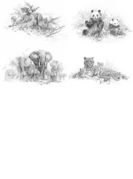 Portfolio Set I & II (Set Of 4) - Mounted