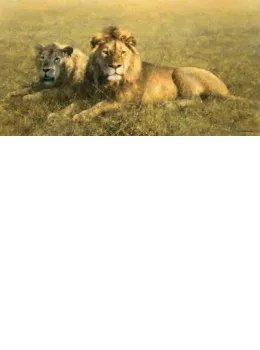 Serengeti Friends - Print only