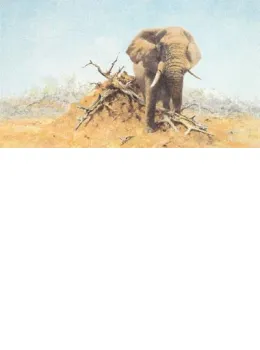 The Gentle Giant - Mounted