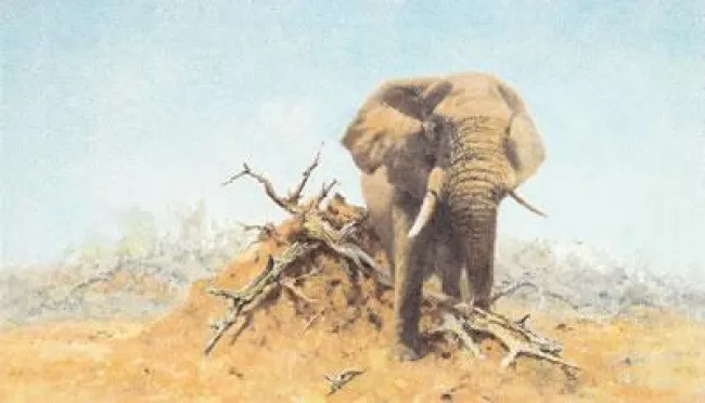 The Gentle Giant