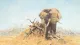 The Gentle Giant - Mounted