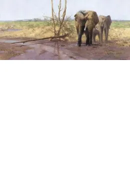 In The Masai Mara - Print