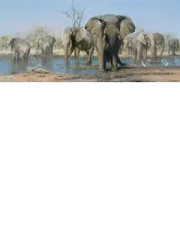 Happy Time - Elephants - Print only