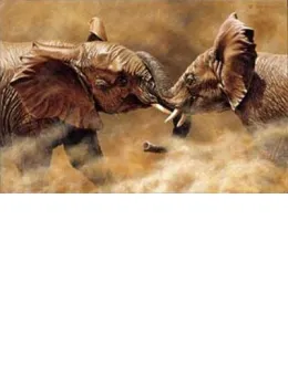 Who Are You Shoving? - Elephants - Mounted
