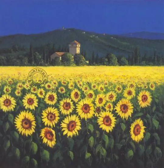 Tuscan Sunflowers