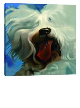 Duster - Westie - Box Canvas