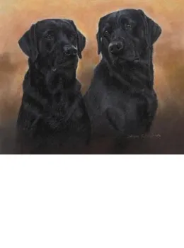 Matched Pair - Print