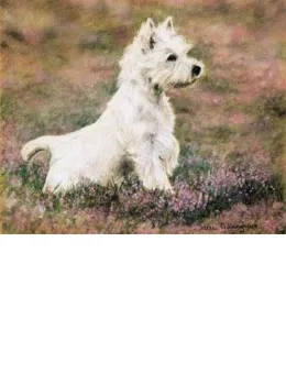 Classic Pose - Paws For Thought - Print