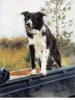 Homeward Bound - Print