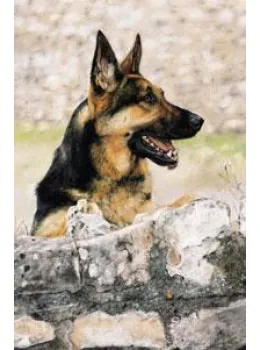 Ever Alert - Print
