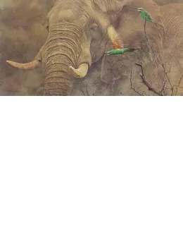 Eat My Dust - Elephant & Birds - Mounted