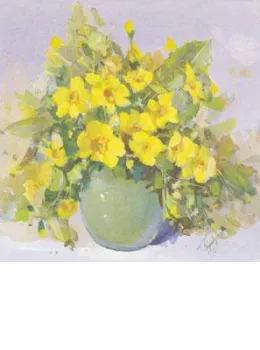 Primulas - Mounted