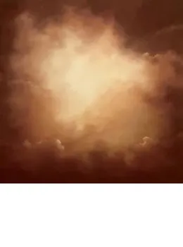 Into The Light - Canvas - With slip