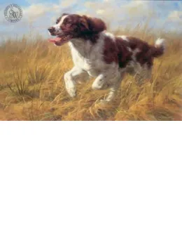 Springer At Speed - Print only