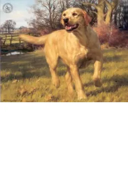 Yellow Labrador - Mounted